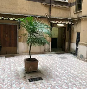 Foto annuncio 7