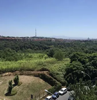 Foto annuncio 5