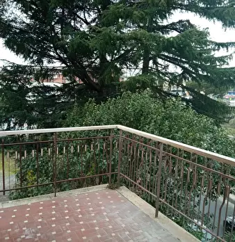 Foto annuncio 8