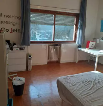 Foto annuncio 2
