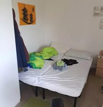 Foto annuncio 1