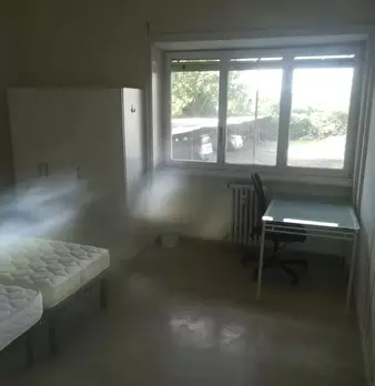 Foto annuncio 7