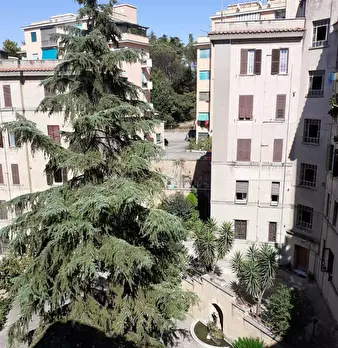Foto annuncio 6