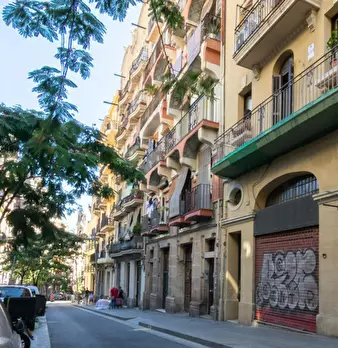 Foto annuncio 10