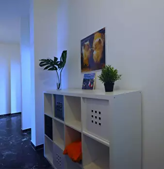 Foto annuncio 5