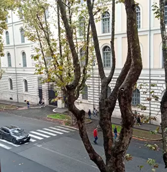 Foto annuncio 7