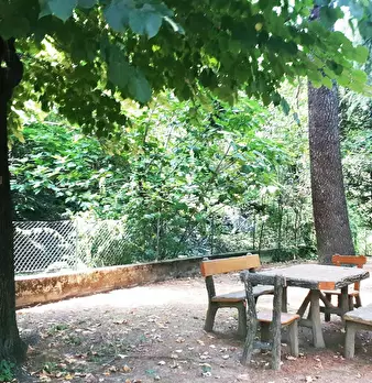 Foto annuncio 10