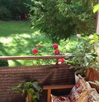 Foto annuncio 7
