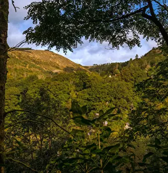 Foto annuncio 6