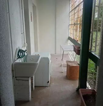 Foto annuncio 5