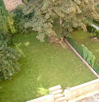 Foto annuncio 9