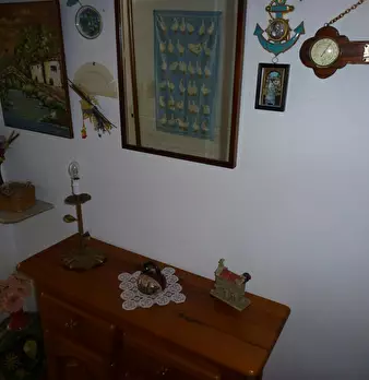 Foto annuncio 7