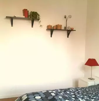 Foto annuncio 7