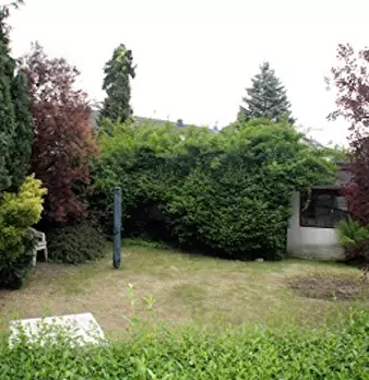 Foto annuncio 8