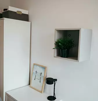Foto annuncio 3
