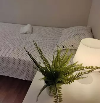 Foto annuncio 8