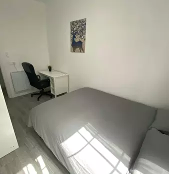 Foto annuncio 6