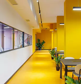 Foto annuncio 9