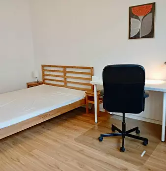 Foto annuncio 9