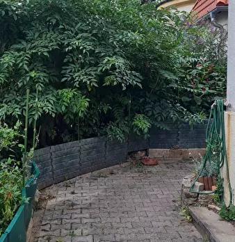 Foto annuncio 8