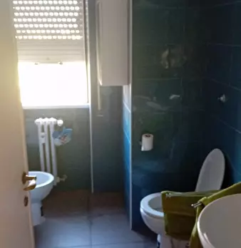 Foto annuncio 9