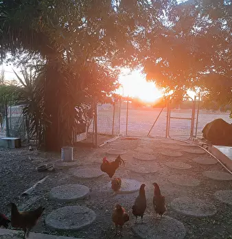 Foto annuncio 6