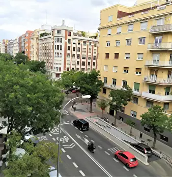 Foto annuncio 10