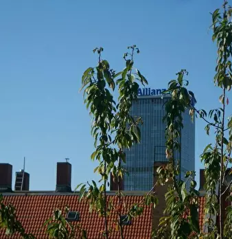 Foto annuncio 9