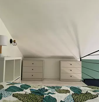 Foto annuncio 8