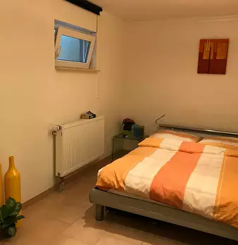 Foto annuncio 5
