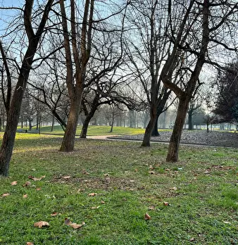 Foto annuncio 6