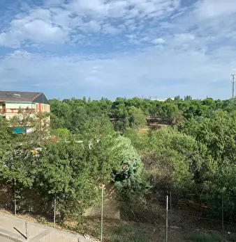 Foto annuncio 8