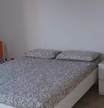 Foto annuncio 7