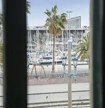 Foto annuncio 7