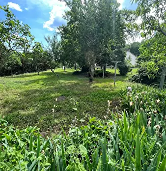 Foto annuncio 3