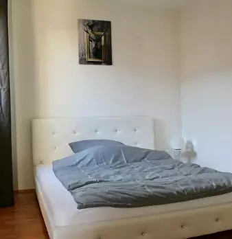 Foto annuncio 6