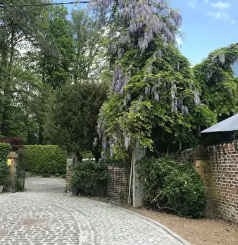 Foto annuncio 5