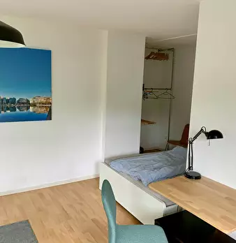 Foto annuncio 5