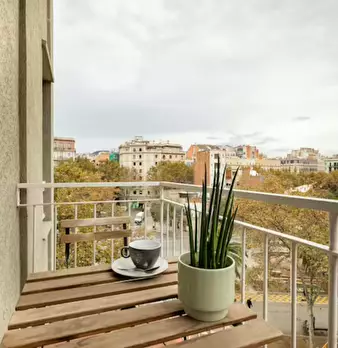Foto annuncio 5