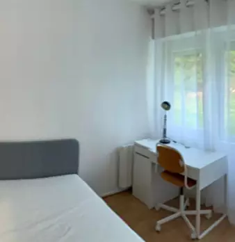 Foto annuncio 2