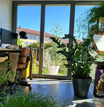 Foto annuncio 8