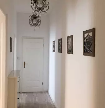 Foto annuncio 10