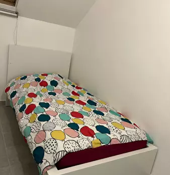 Foto annuncio 1