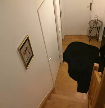 Foto annuncio 9