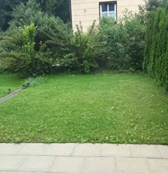 Foto annuncio 6