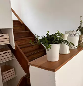 Foto annuncio 8