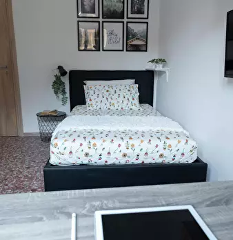 Foto annuncio 8