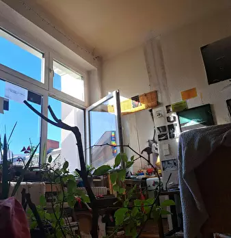 Foto annuncio 10