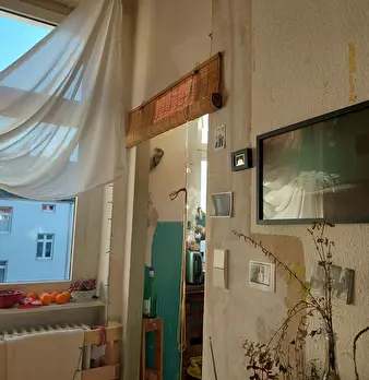 Foto annuncio 9