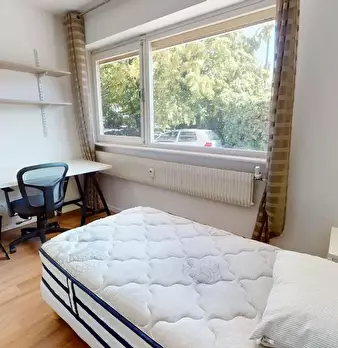 Foto annuncio 4